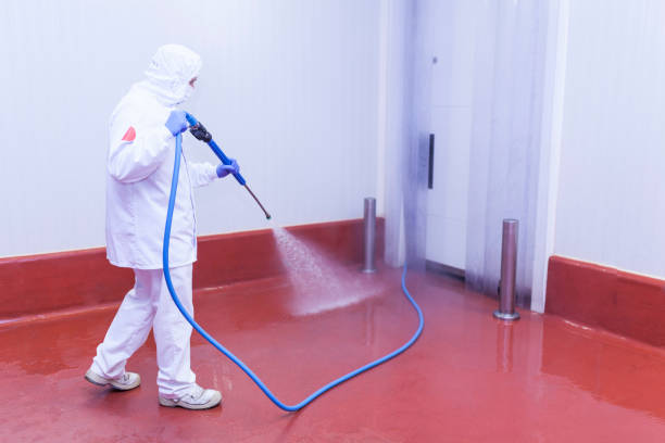 Best Rust Removal  in Highland Acres, DE